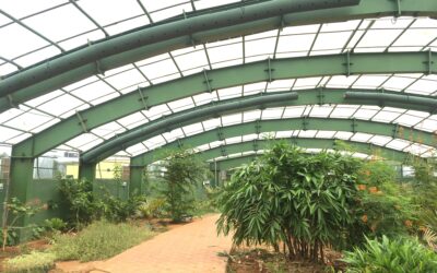 Cooling an indoor Butterfly Conservatory – Blending the sustainability of SunGreen Precise Cooling and the versatility of TurboaSox.